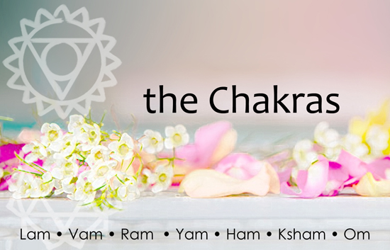 Chakras